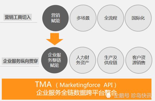珍島視角 大數據營銷時代的核心驅動力與數字技術服務新范式